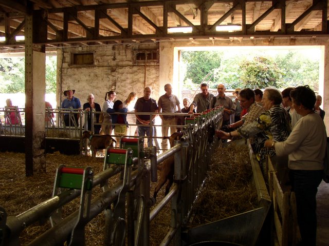 2011 09 24 Sortie ferme de la Noue 06